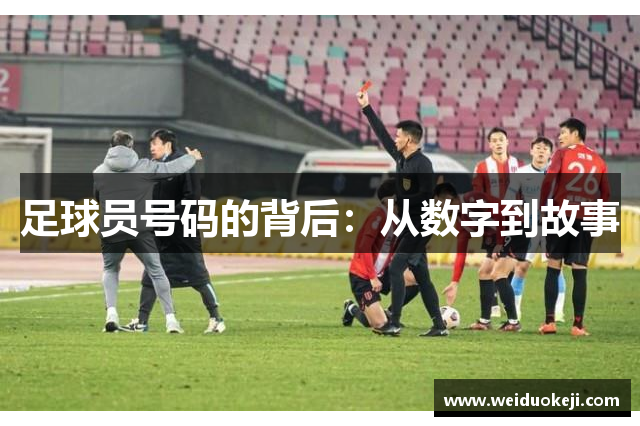 足球员号码的背后：从数字到故事
