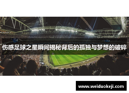 伤感足球之星瞬间揭秘背后的孤独与梦想的破碎