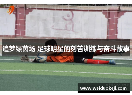 追梦绿茵场 足球明星的刻苦训练与奋斗故事